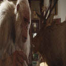 Premio Consolidated Video and Interactive VR Apps