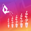 PremioConsolidated Instagram Organic Promotion