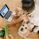 PremioConsolidated Standard Pet Store